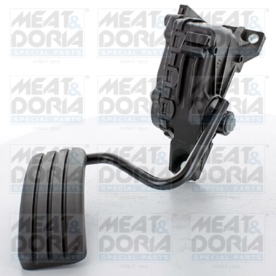 Accelerator Pedal Unit